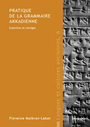 Pratique de la grammaire akkadienne. Exercices et corrigés